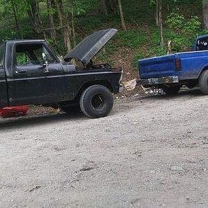 Meet your Posher, Freddie